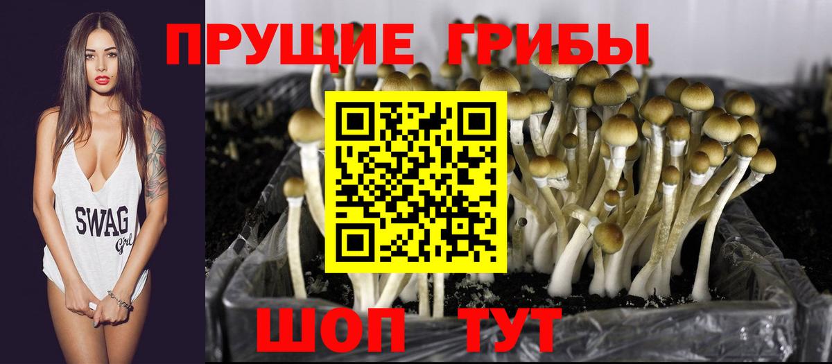 Топки  где купить   Вход с VPN  Псилоцибиновые грибы мухоморы 